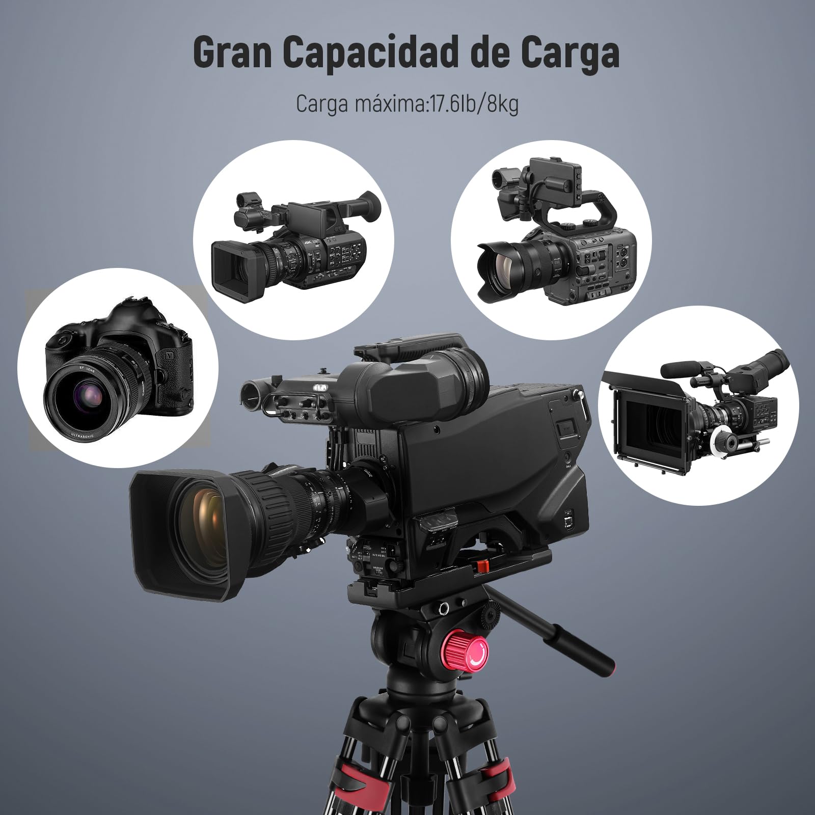 NEEWER 79" Trípode Cámara con 360° Cabezal Fluido, Soporte Vídeo Aleación Aluminio Resistente con Placa QR, Compatible con Canon Nikon Sony y Otras videocámaras DSLR, Carga 17,6lb, Paño de Limpieza
