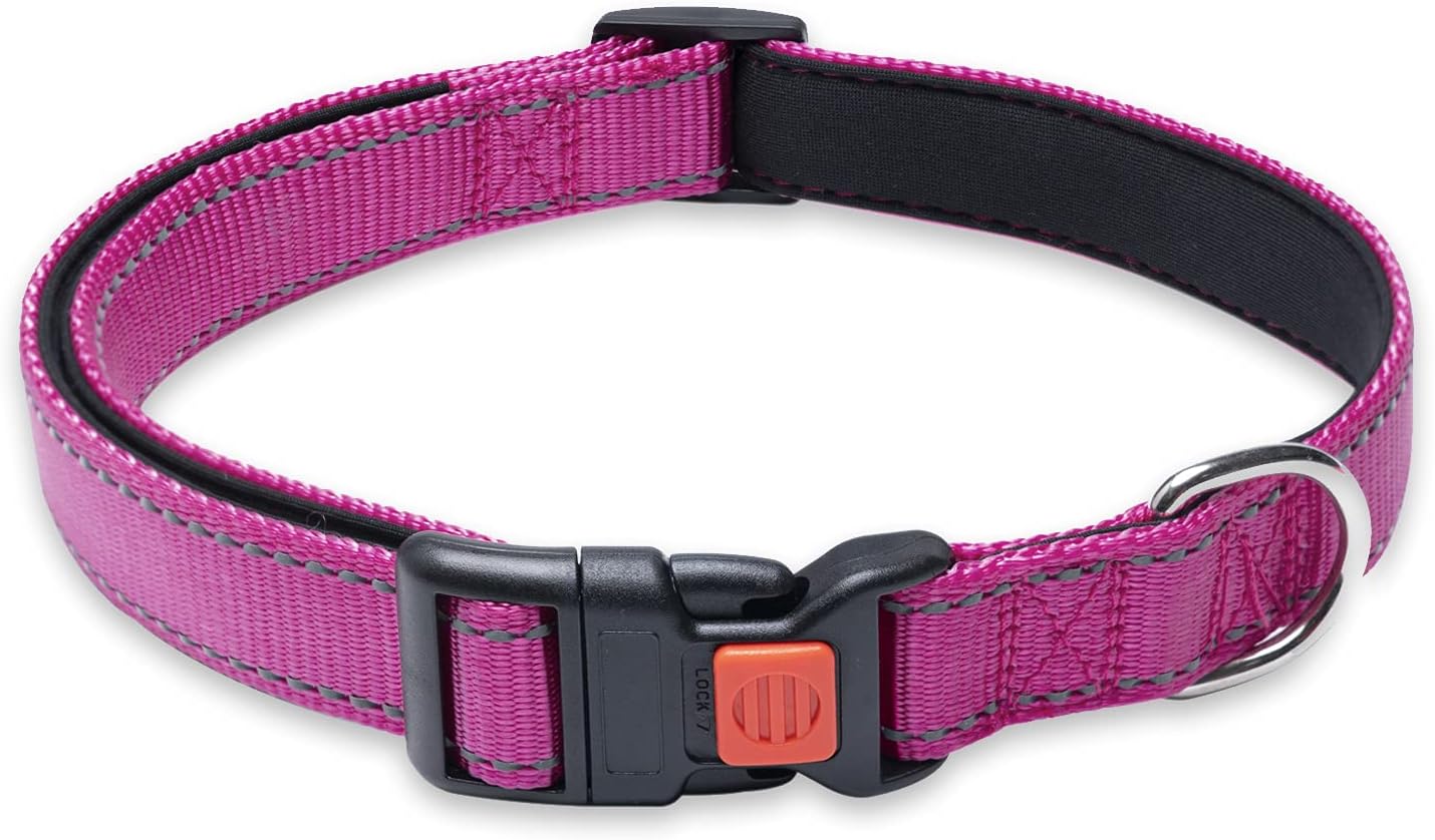 Sanwuta 12 Pcs Reflective Puppy Dog Collars Bulk for