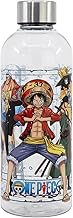 Bouteille Hydro One Piece 850Ml
