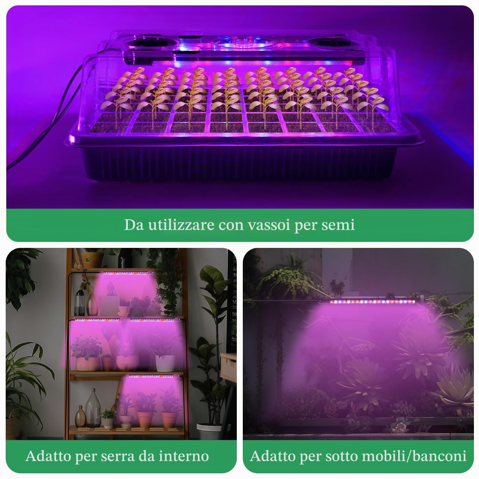 Verdenu Vassoio Germinazione con Luce di Crescita, Semenzaio Germinazione con Cupola di Umidità, Semenzaio con Timer Intelligente, 3 Modalità, 4 Temporizzazioni, Serra per Germinazione per Interni