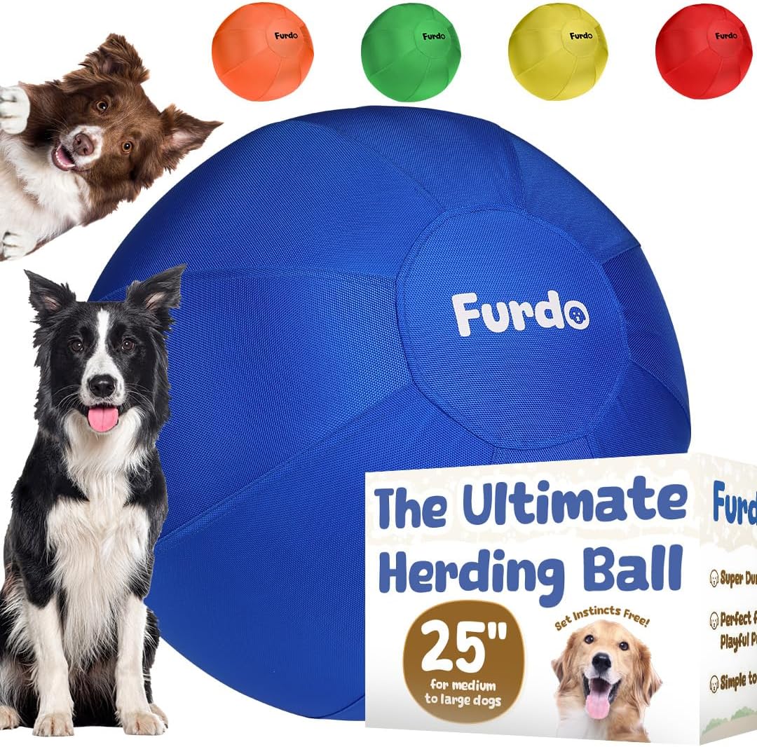 25" Herding Ball for Dogs, for Australian Shepherd, for Cattle Dogs, for Border Collie, for Blue Heelers & Other Medium to Large Dogs, Herding Dog Ball, Herding Dog Toys, Horse Ball - Blue 1. Blue