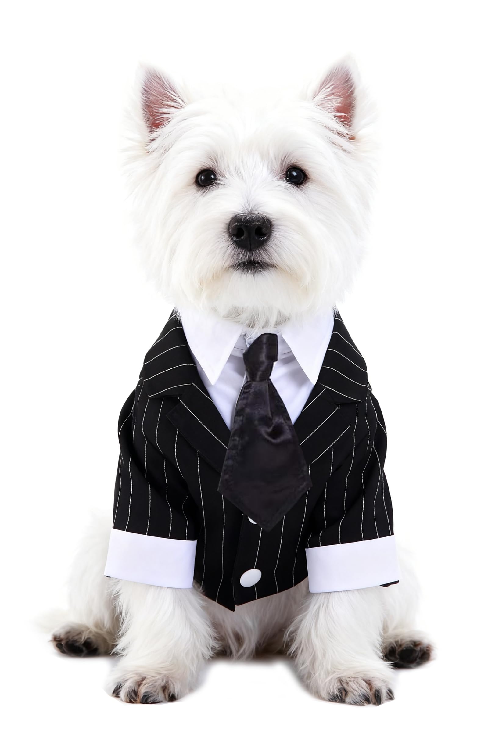 GabeFish Pets Stripe Wedding Jackets Suit For Dogs With Stripe Bow Tie Puppy Cat Formal Clothes Shirt Tuxedo Stripe Small — image 1