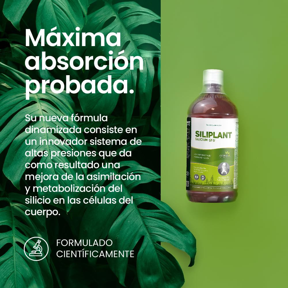 G7 Siliplant Silicio Líquido Bebible. Suplemento Natural de Cola de Caballo para Articulaciones Piel Uñas Pelo y Huesos Alta Absorción.