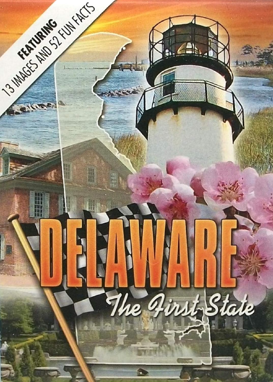 Saddle Mountain Souvenir Delaware with Lighthouse Playing Cards