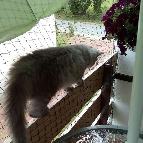Filet pour Chat de Balcon et fenêtre 6x3m, sans perçage, en Nylon Haute résistance, pour terrasse, fenêtres et Portes. - 5