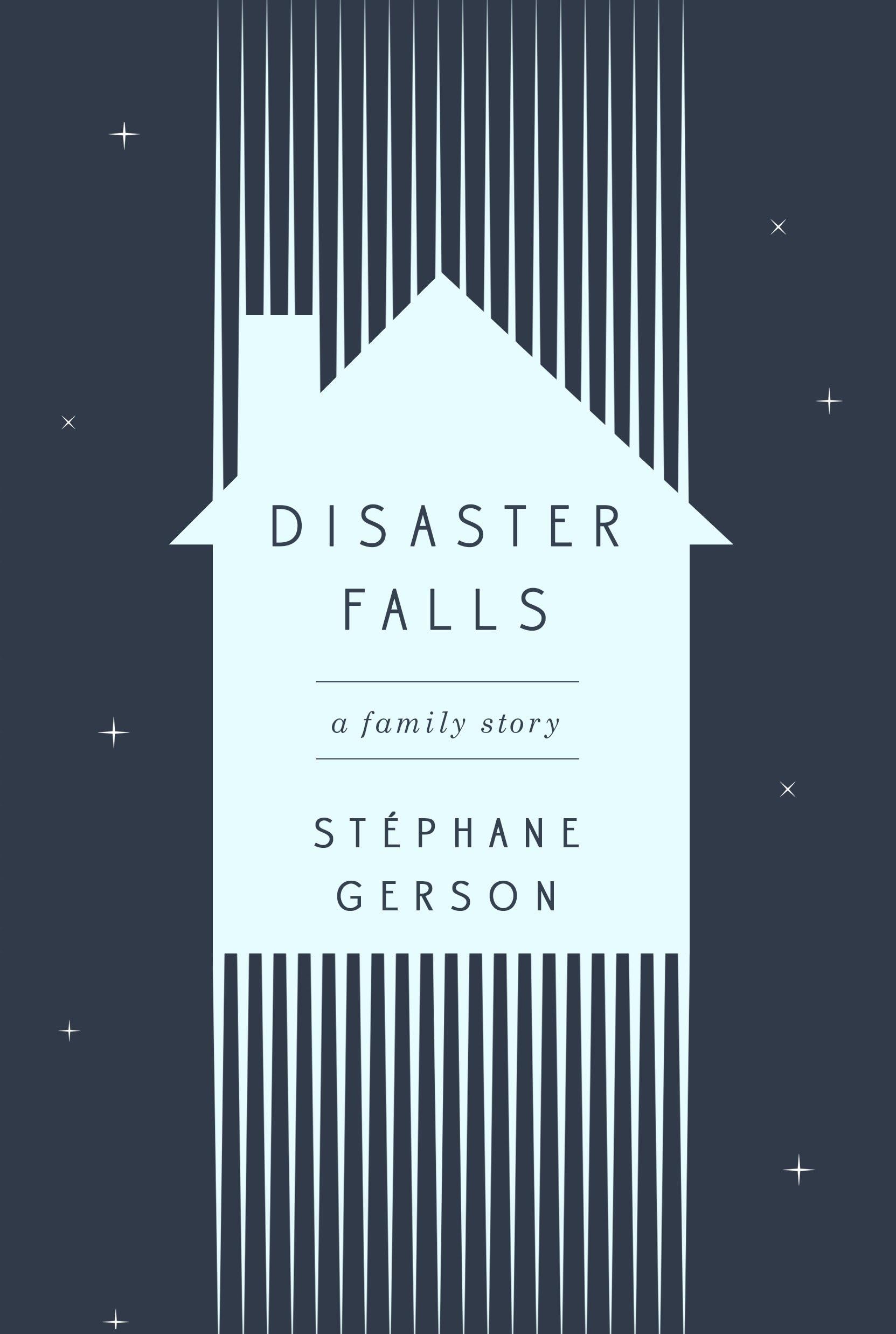 Buy Disaster Falls: A Family Story — BookShops.in