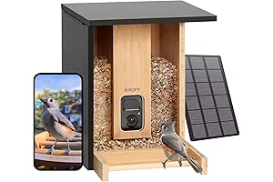 Netvue Birdfy Upgraded Smart Bird Feeder Camera: Capture Bird Moments Effortlessly