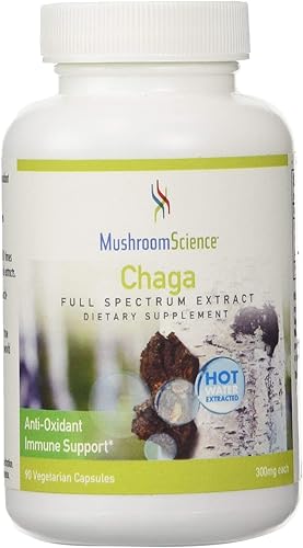 Suplemento dietético Chaga extracto orgánico de hongo Chaga para antienvejecimiento, apoyo inmunológico y energía natural, suplementos herbales