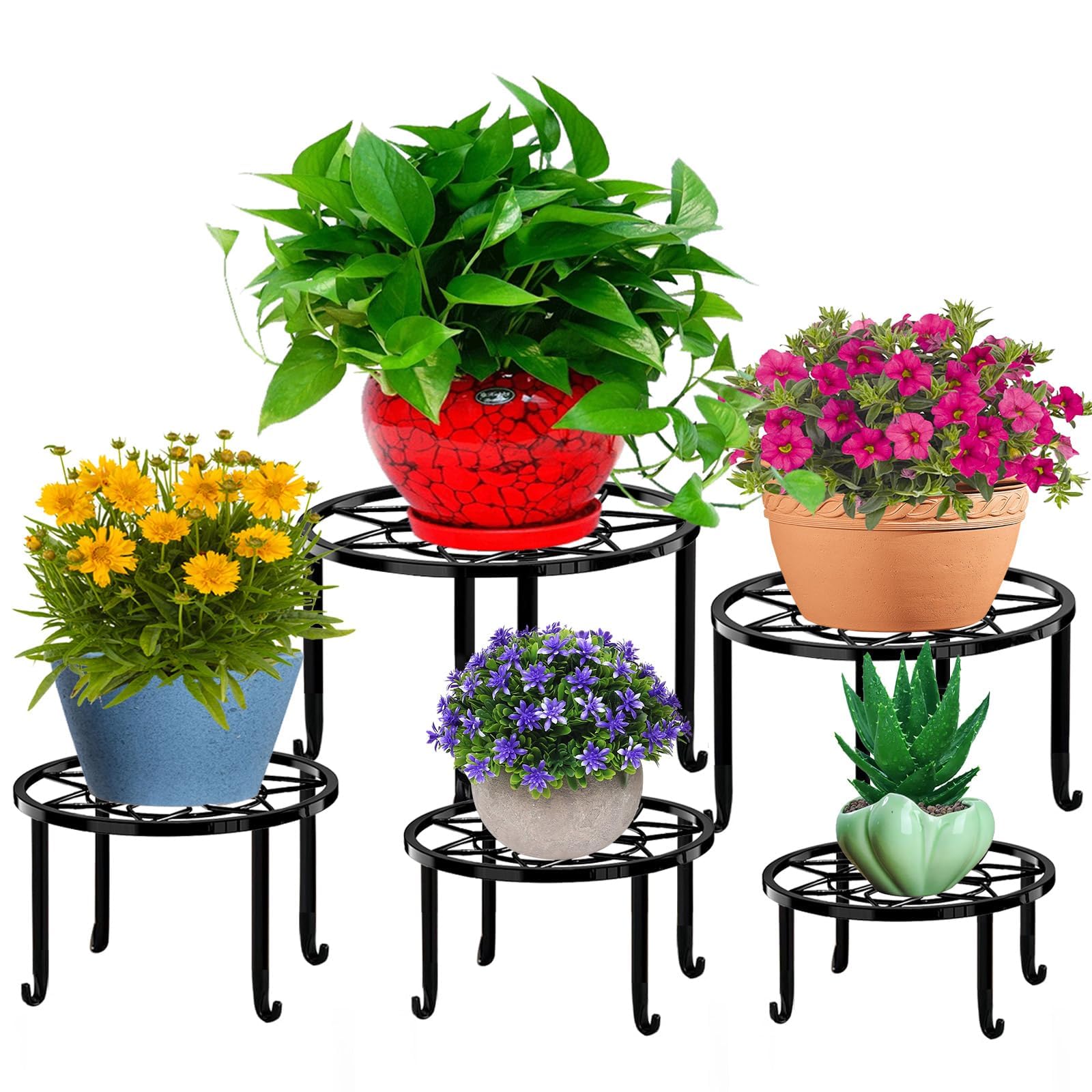 Autopromake 5-Pack