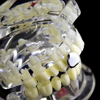 Silver Tone Single Cap Grillz Plain Canine K9 Bling Tooth Hip Hop Grill Slug