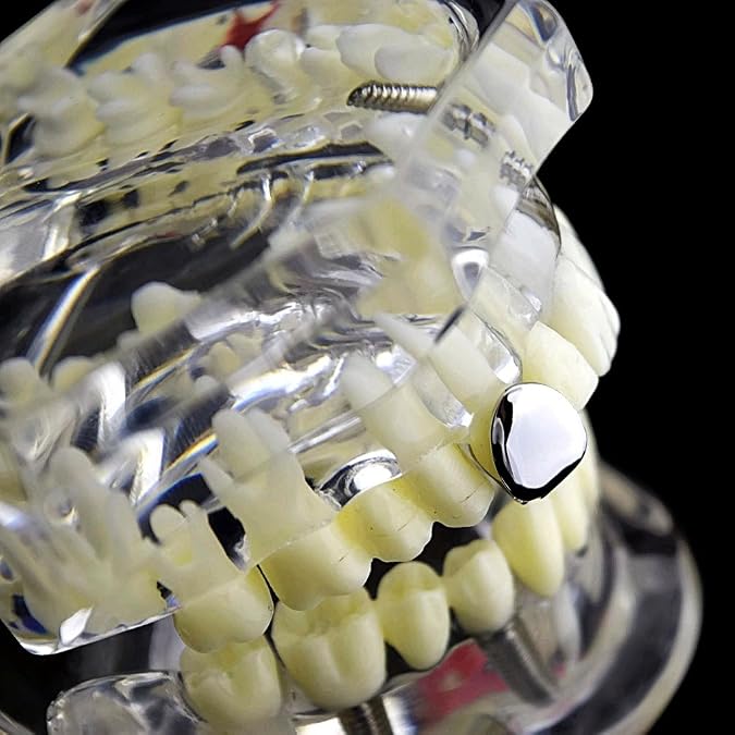 Silver Tone Single Cap Grillz Plain Canine K9 Bling Tooth Hip Hop Grill Slug