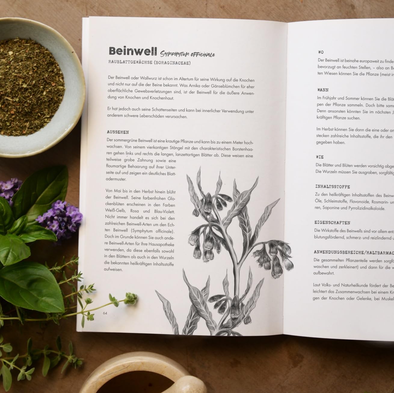 Das verlorene Handbuch der Kräutermedizin: Die heilende Kraft wirkungsvoller Kräuterheilmittel der Natur für mehr Gesundheit & Energie