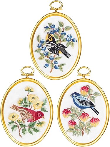 Janlynn Suministros de punto de cruz de plumas y flora, multicolor