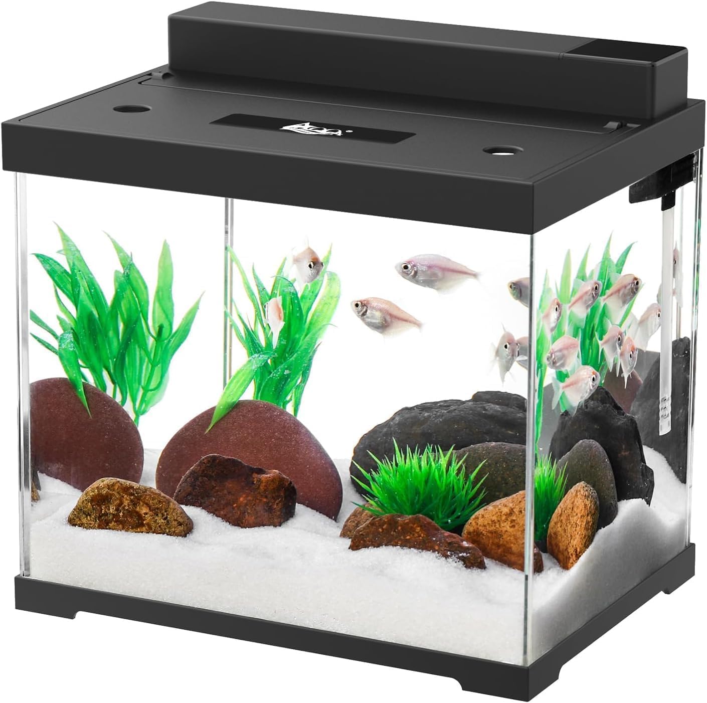 AQQA Kleines Aquarium-Komplettset – 4-Farben-LED-Beleuchtung, Doppelfiltersystem, Pumpe, perfekt zum Füttern von Garnelen und Schnecken, 9 l AQQA Kleines Aquarium-Komplettset – 4-Farben-LED-Beleuchtung, Doppelfiltersystem, Pumpe, perfekt zum Füttern von Garnelen und Schnecken, 9 l