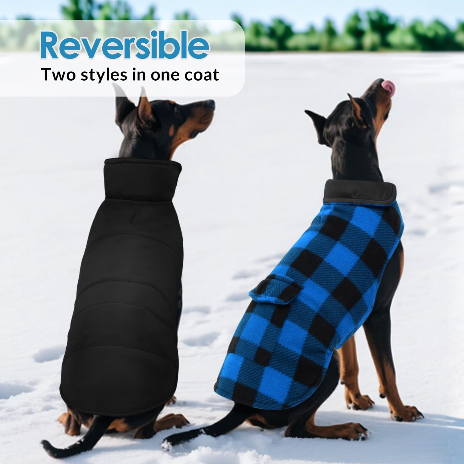 ASENKU Cappotto Cane Impermeabili Invernale, Cappottino Cane Reversibile Antivento Freddo, Calda Giacca per Cani Taglia Grande, Gilet per Cani con Fodera in Lana Protegge Dal Freddo 2XL