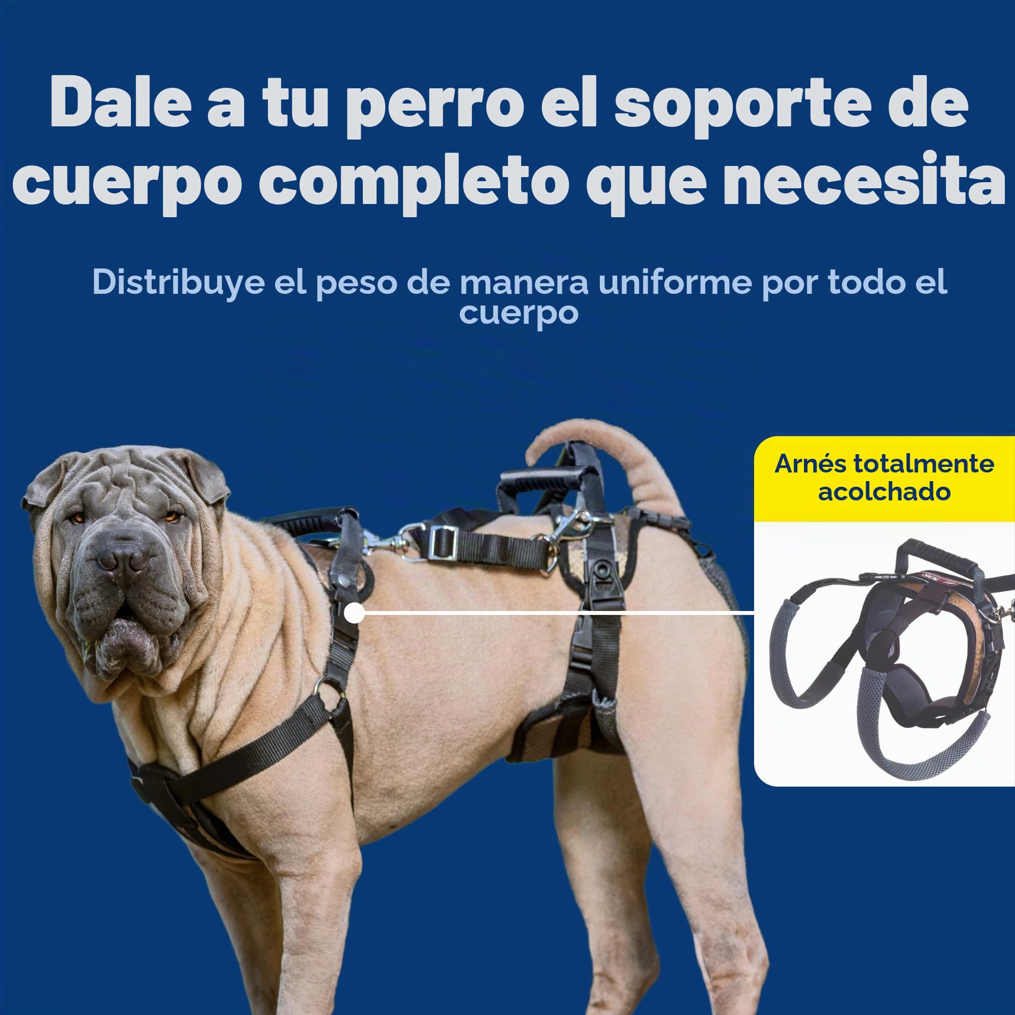 PetSafe CareLift Arnés de Apoyo, Ayuda de Levantamiento de Cuerpo Completo con asa y Correa para el Hombro, Ideal para la Movilidad de Mascotas y Perros Mayores para ayudarlos, Material cómodo,