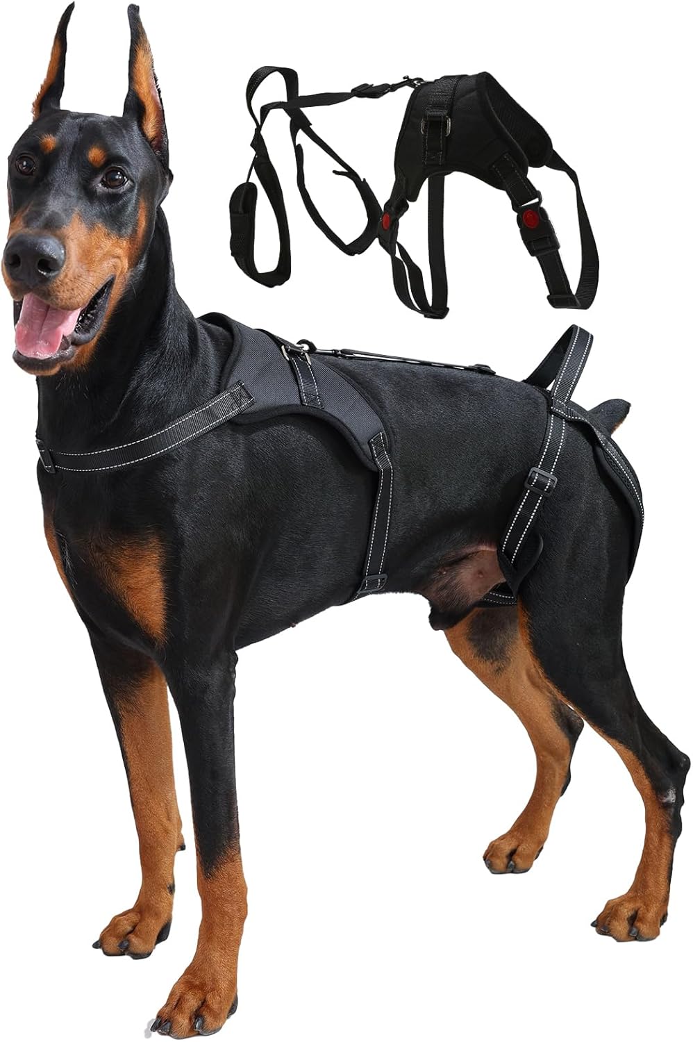 Multi-Functional Dog Lift Harness – Full Body Support Vest for Front, Rear, or Whole-Body Lifting – Mobility Aid for Senior, Injured, or Post-Surgery Dogs, Breathable & Washable