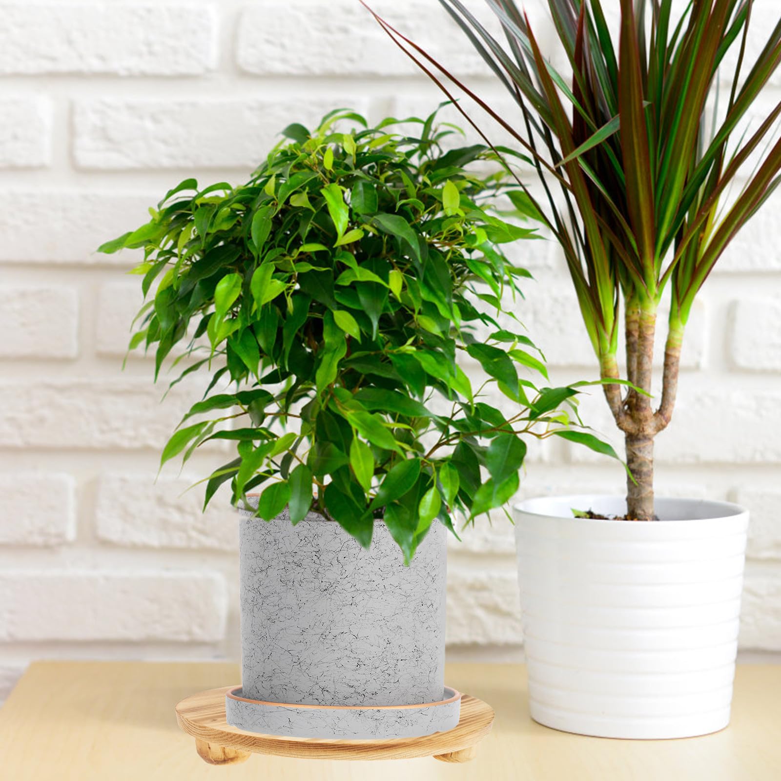 Toyvian Soporte para Macetas de Madera Maciza Pequeño, Base para Plantas Interior y Balcón, Soporte para Macetas de Jardín y Mesa, Expositor Decorativo Resistente y Funcional