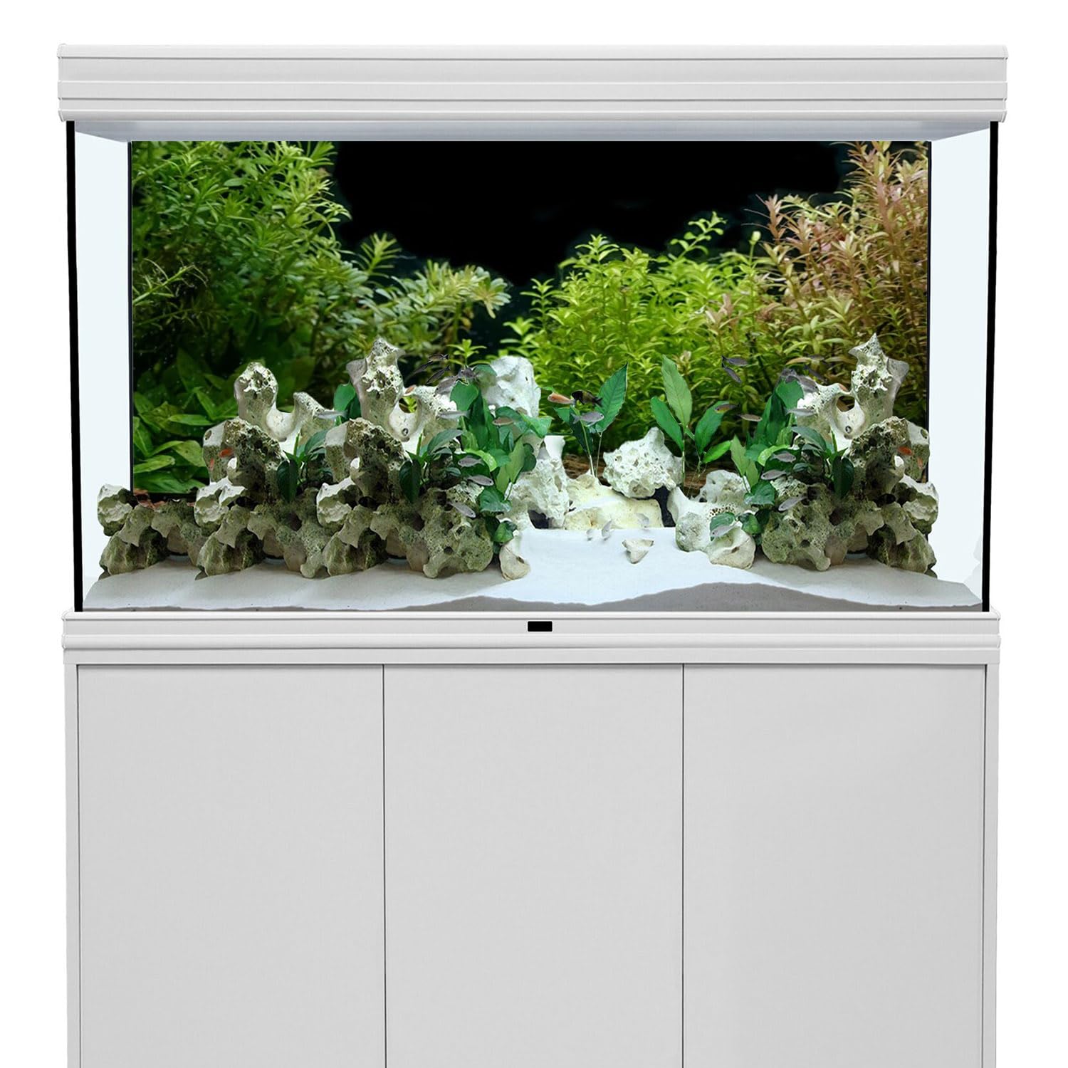 AWERT Aquarium Background River Bed & Lake Aquatic Plant Fish Tank Background Vinyl 24x12 inches