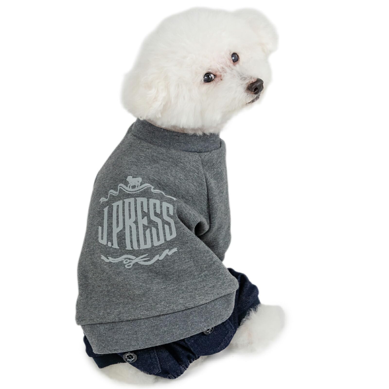 Amazon.co.jp: ペットパラダイス: 3S（～3kg）