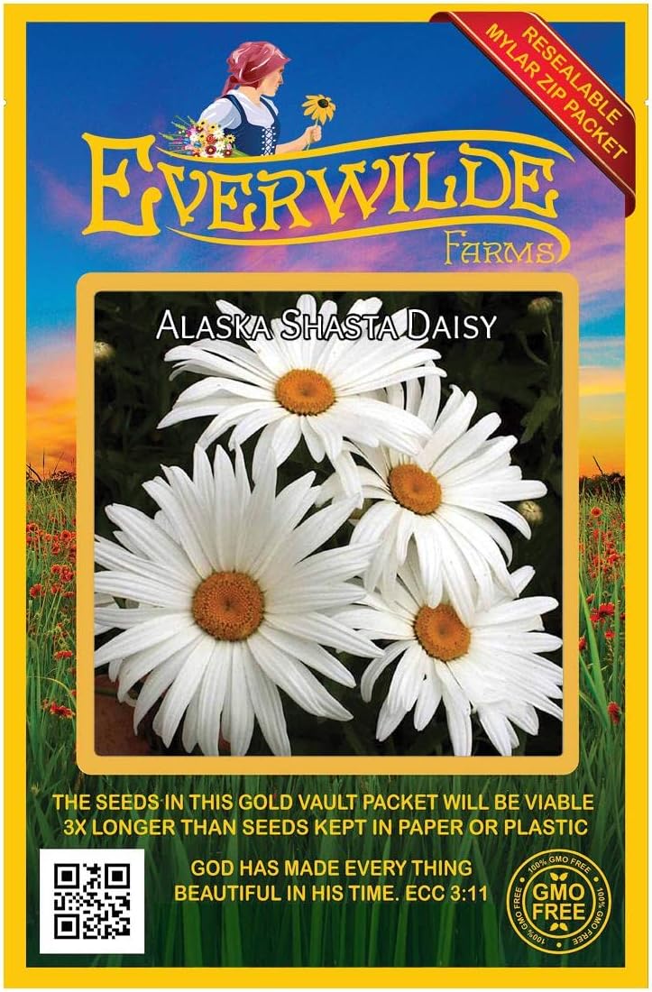 Everwilde Farms - 1 Lb Shasta Daisy Wildflower Seeds - Gold Vault