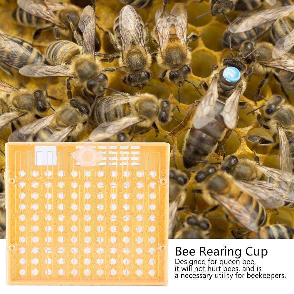 Kit Complet Élevage Reines Abeilles Fivetwofive 200 Cellules - Système D'Élevage Professionnel