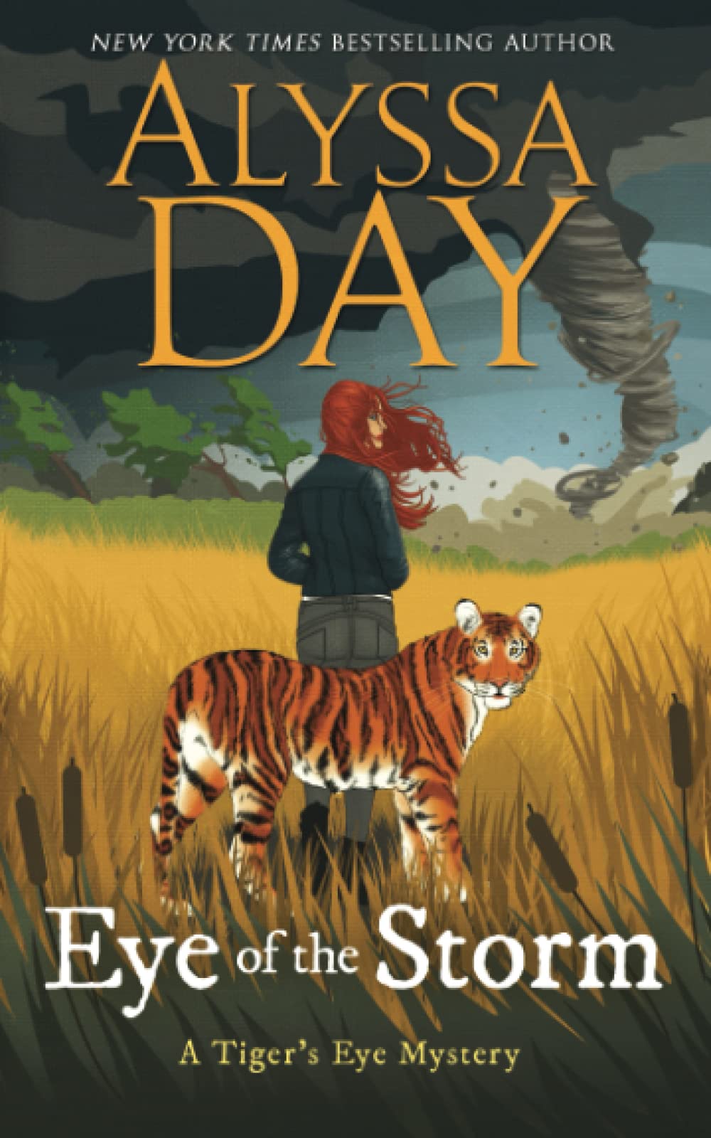 Cover of Eye of the Storm