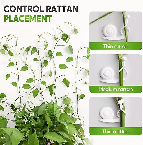 Miniatura 4 de Clips de pared para escalada de plantas, clips de soporte para plantas 2025, clips de jardín reutilizables, clips de soporte para plantas,