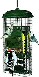 Squirrel Buster Suet Squirrel-Proof Suet Bird Feeder with Two Suet Cake Trays, Two Crumb Ports, Mess-Free Suet Loading, Durable Green Design for Clinging Birds