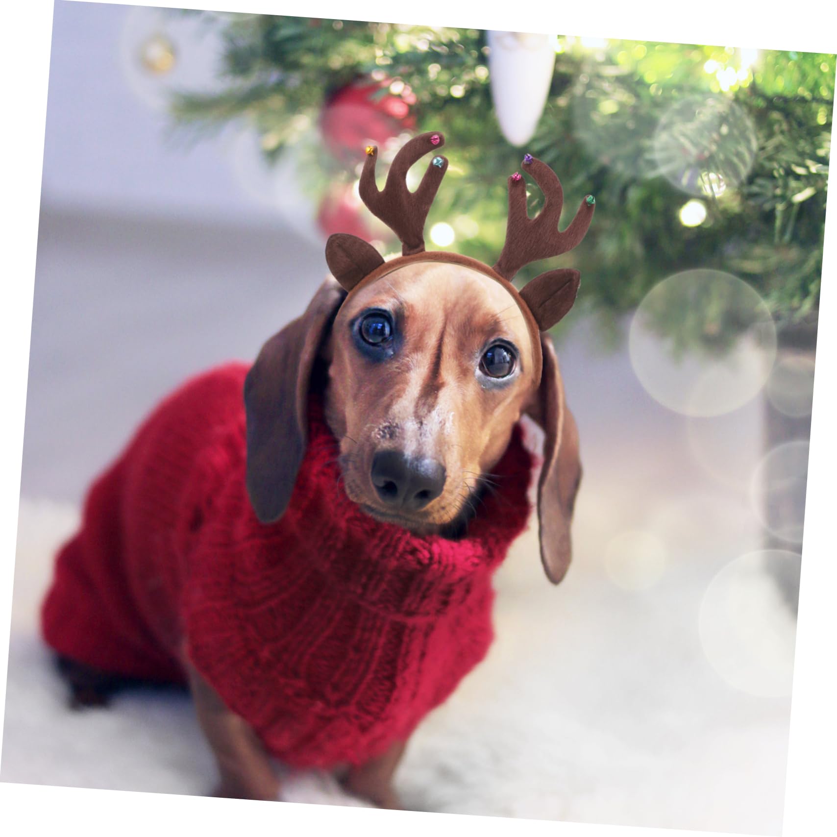 Amazon | UKCOCO クリスマスペットカチューシャ 休日の犬のヘッド
