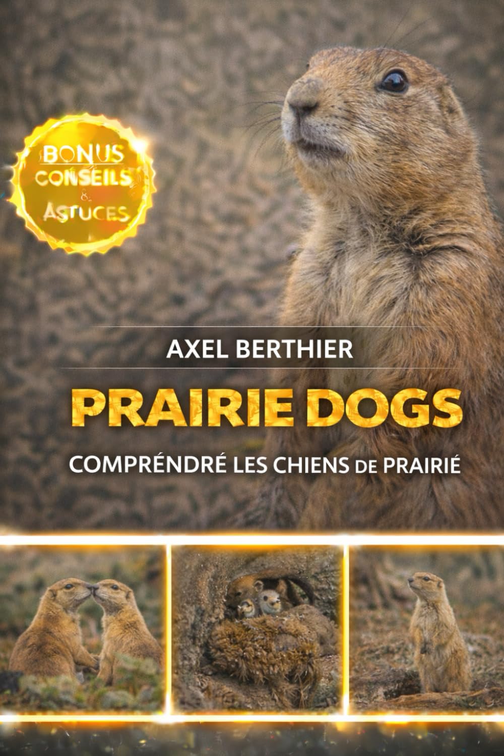 Prairie Dogs comprendre les chiens de prairie