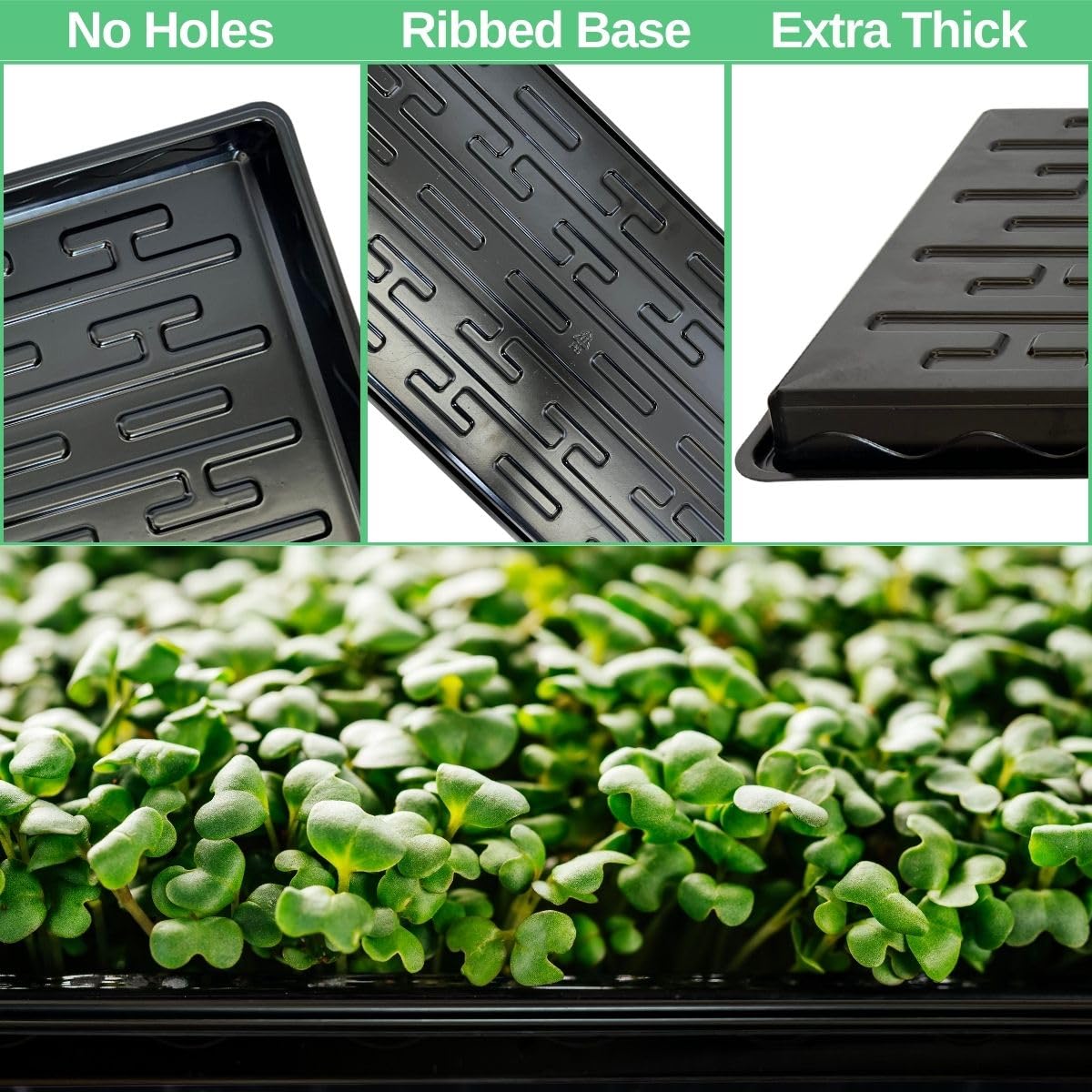 Bandejas de semillero poco profundas 1020 para vivero, fondo poco profundo (altura) de 1.2 pulgadas para germinación de semillas y germinación de plantas, bandejas microverdes sin agujeros