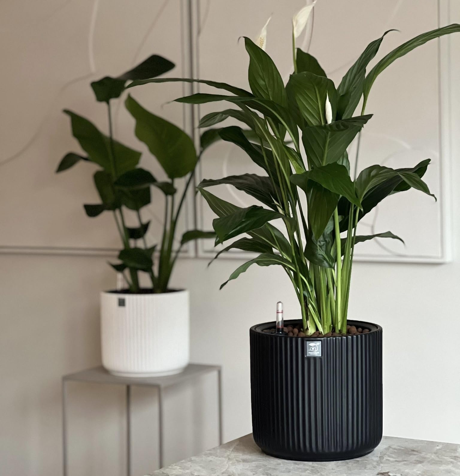 Greenhouse Decorations - Ceramic Self-Watering Plant Pot (2-Pack) - Water Level Indicator - Large 9 inch, Black & White - Easy Care for Indoor/Outdoor Use