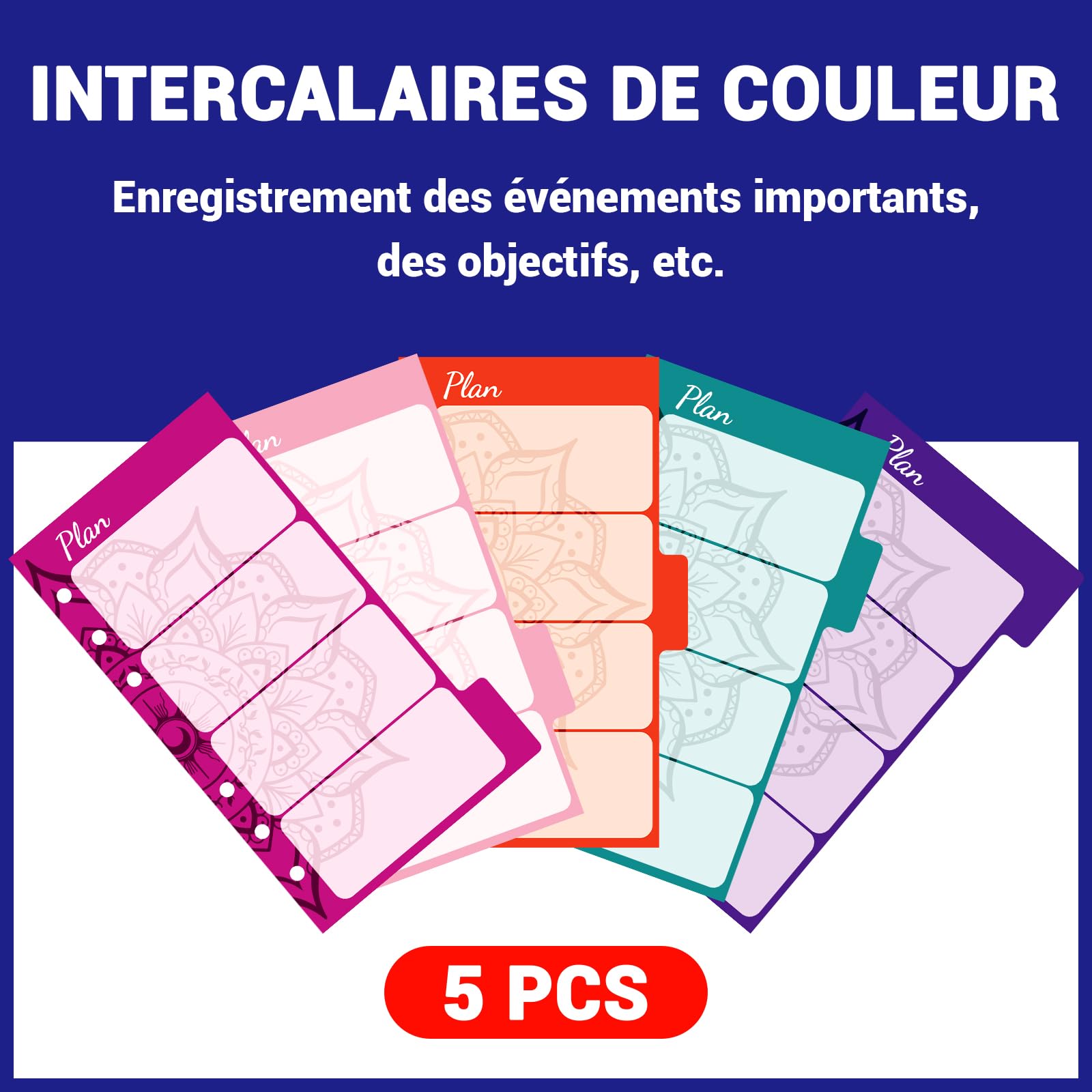 Planificateur de budget Français avec séparateurs colorés