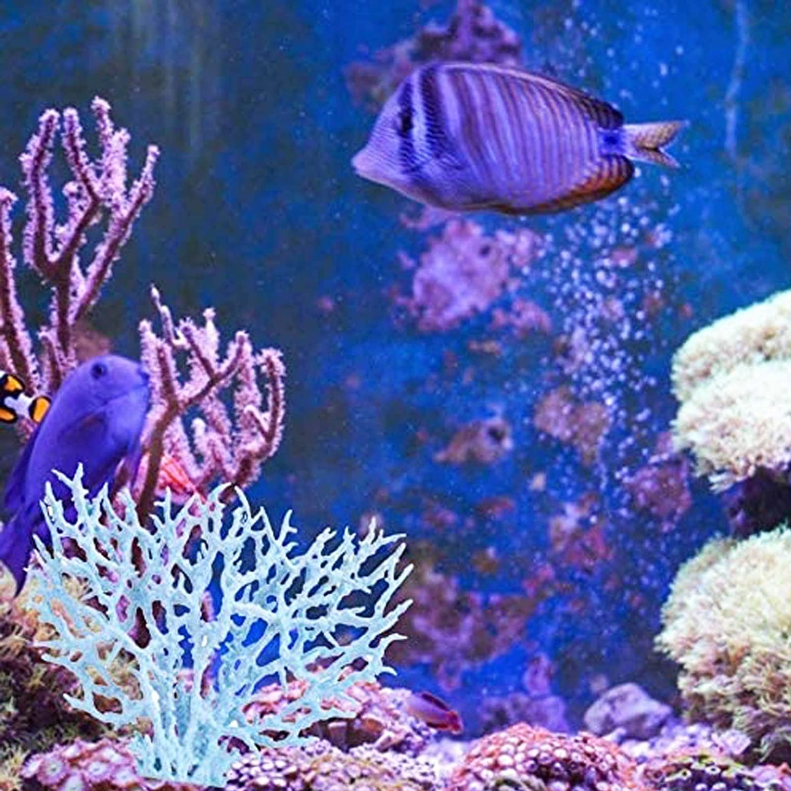 Lot de 2 coraux artificiels pour aquarium - Décoration en plastique - Ornements