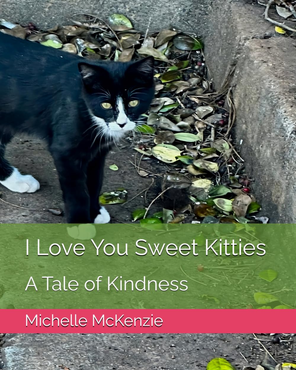 I Love You Sweet Kitties: A Tale of Kindness