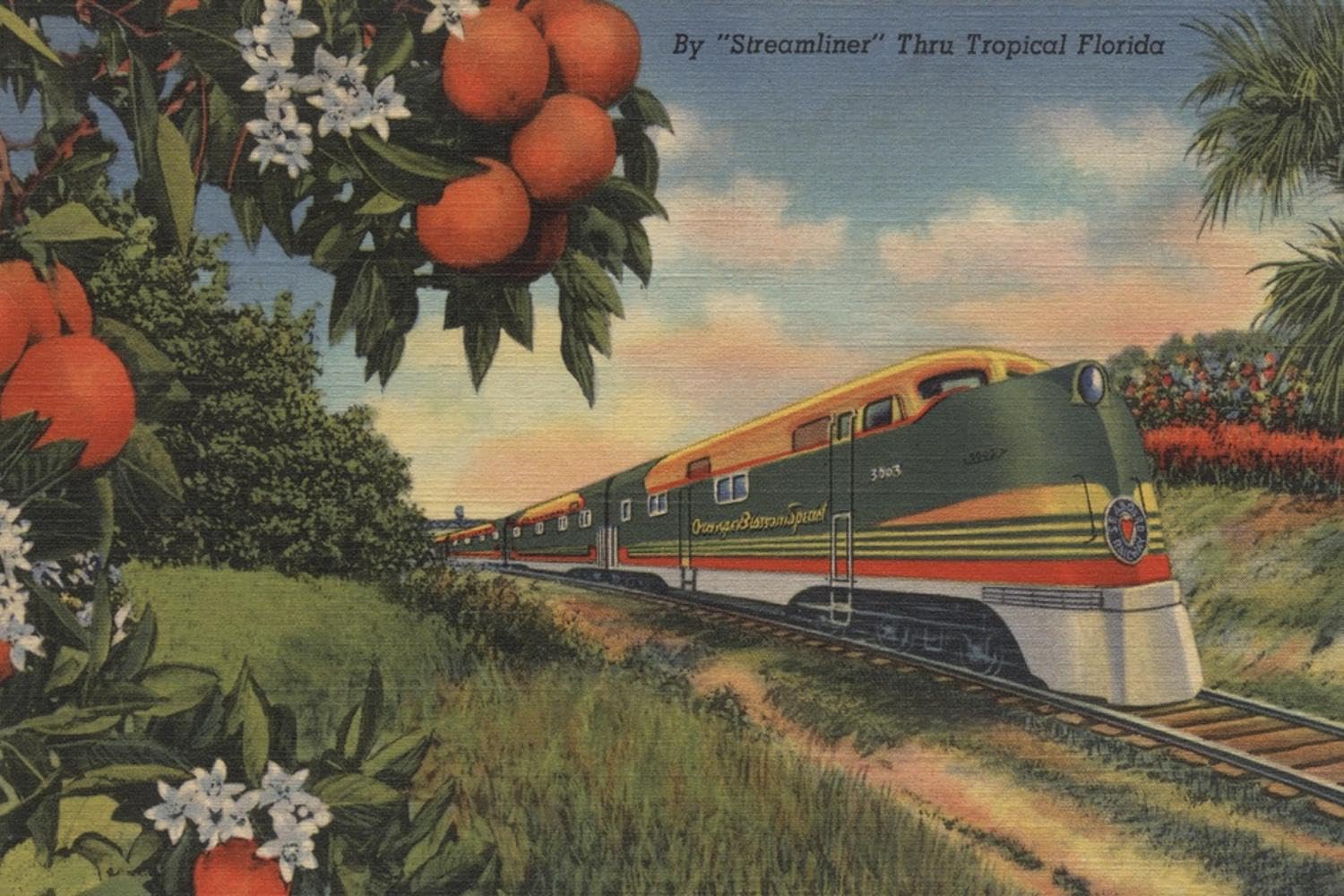 Amazon.com: ART.COM Wall Art Print Train- Orange Blossom Special