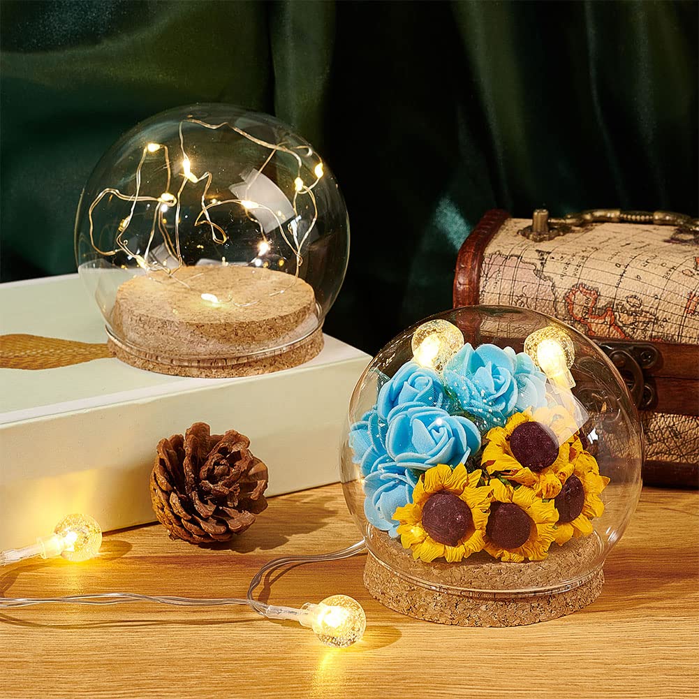 NBEADS 2 Sets Round Glass Display Dome, Mini Glass Cloche Dome Clear Glass Plant Terrarium Decor with Cork Base 3.94