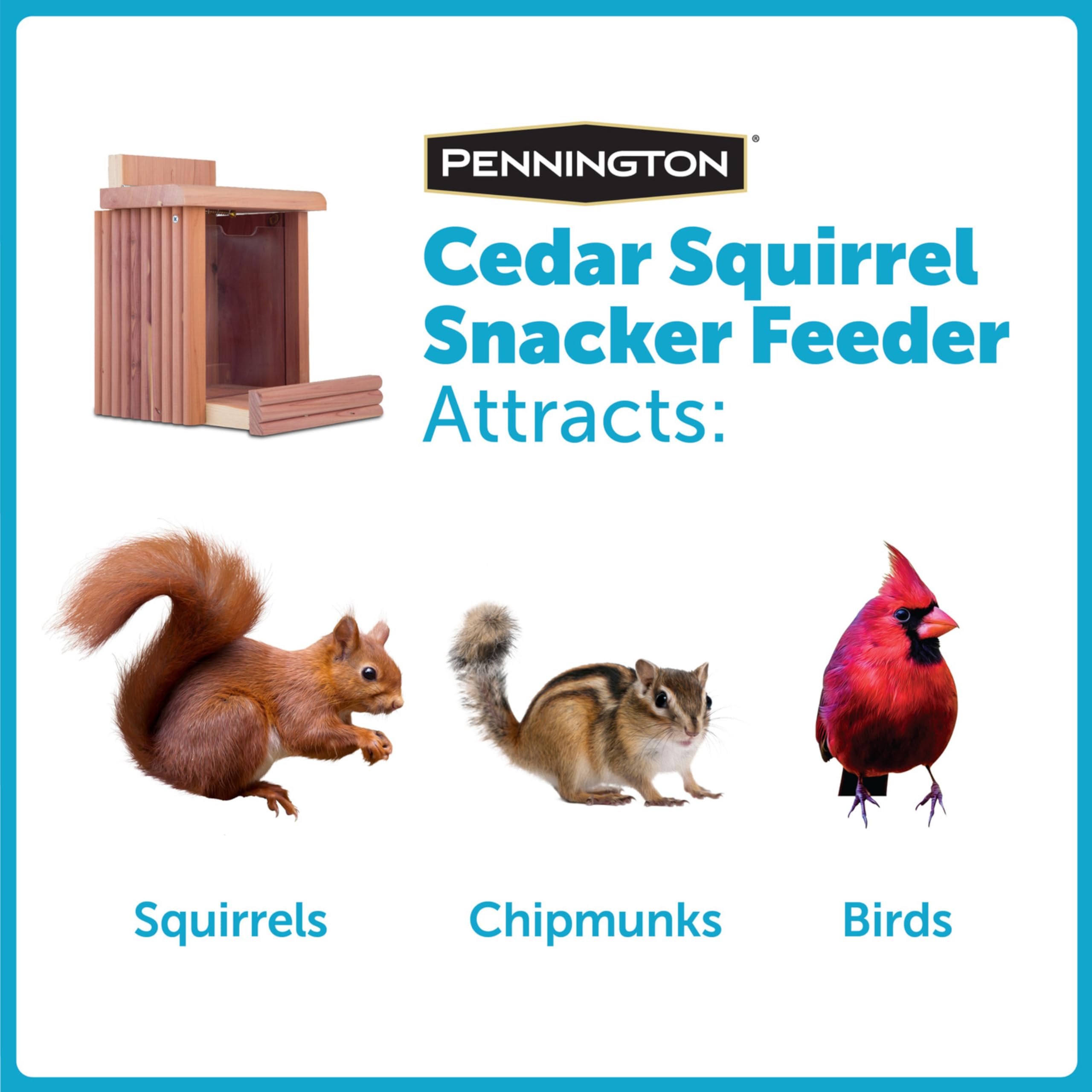 Pennington Cedar Squirrel Snacker Feeder Amish Wyprodukowano w USA
