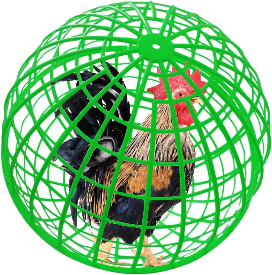 Bethlehem Poultry Transport Ball, Green Plastic Chicken Carrier Cage, Spherical Bird Enclosure