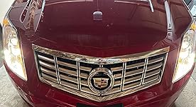 Review Image by mgrynder mgrynder