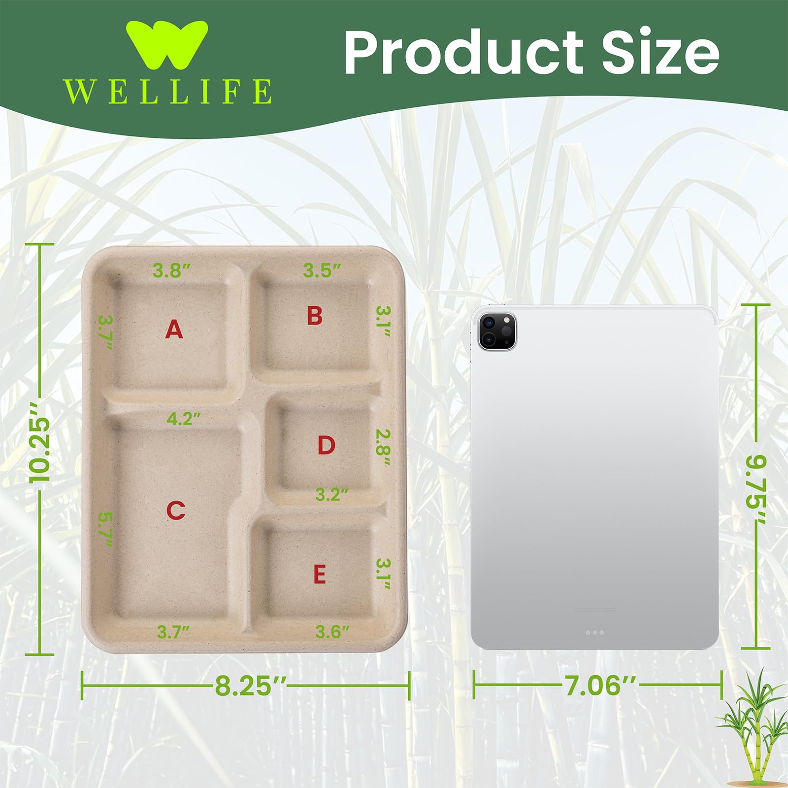 Amazon.com: WELLIFE 100% Compostable 5 Compartment Paper