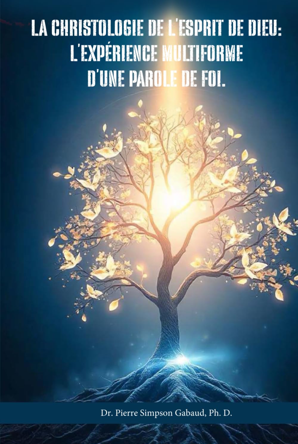 La Christologie de l’Esprit de Dieu: L’expérience multiforme d’une Parole de Foi