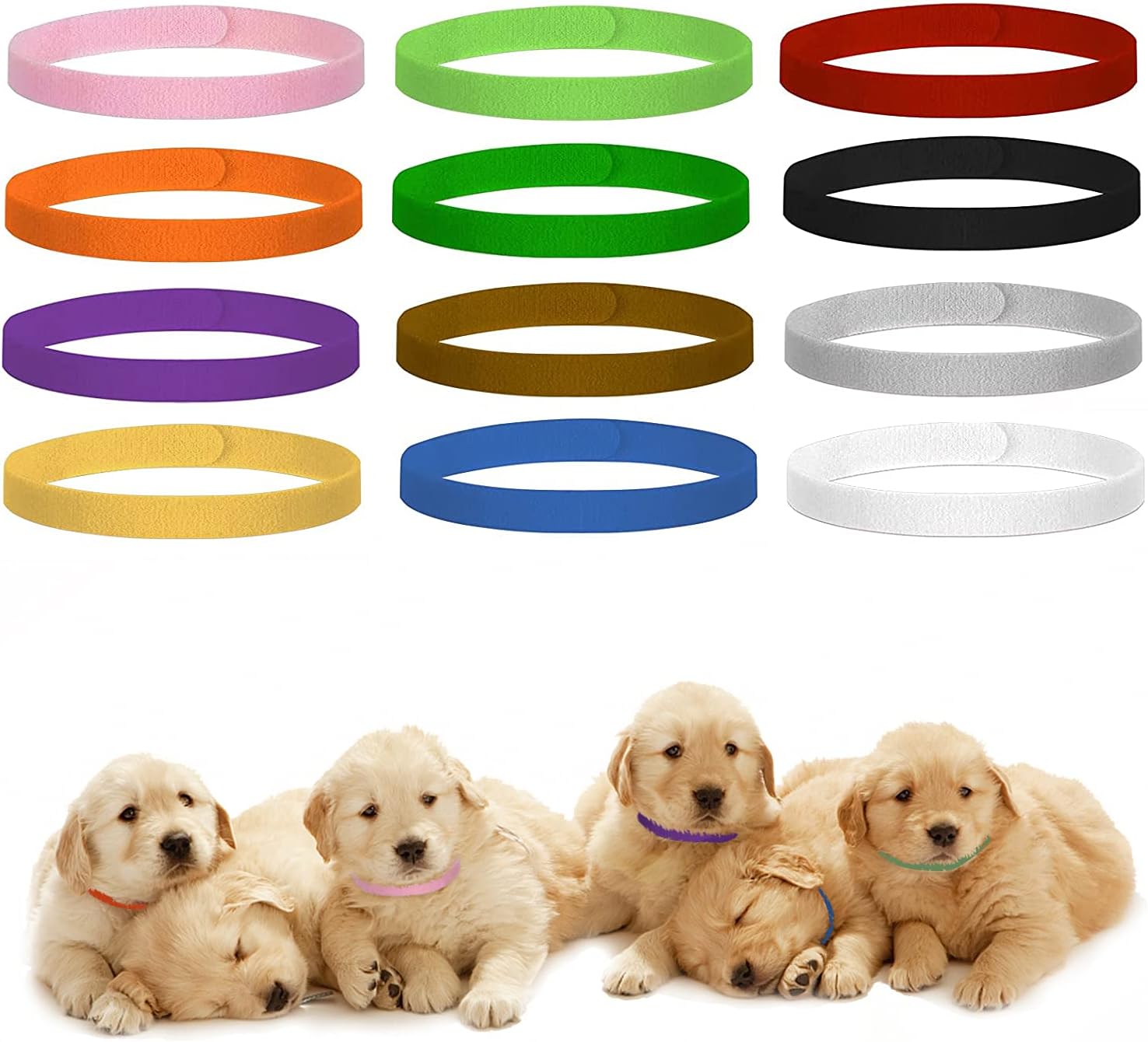 Futurekart Adjustable Reusable Puppy Identification ID Collars Pet Bands 12 in 1 Set (Multicolor)