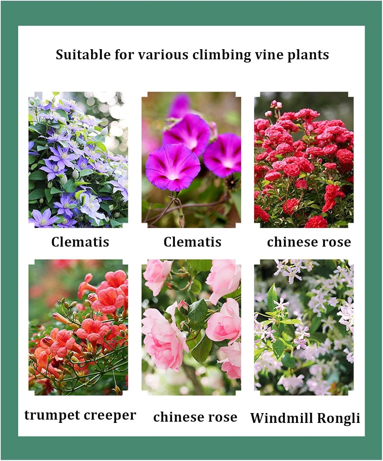 Archway Trellis,for Climbing Plants,Outdoor Trellis Arbor Archway,Iron Arch Flower Rack,Garden Arbors,Support Various Bridal Party Decoration,Pergola Arbor,Lawn,Party(Size:260*240*40cm,Color:black)