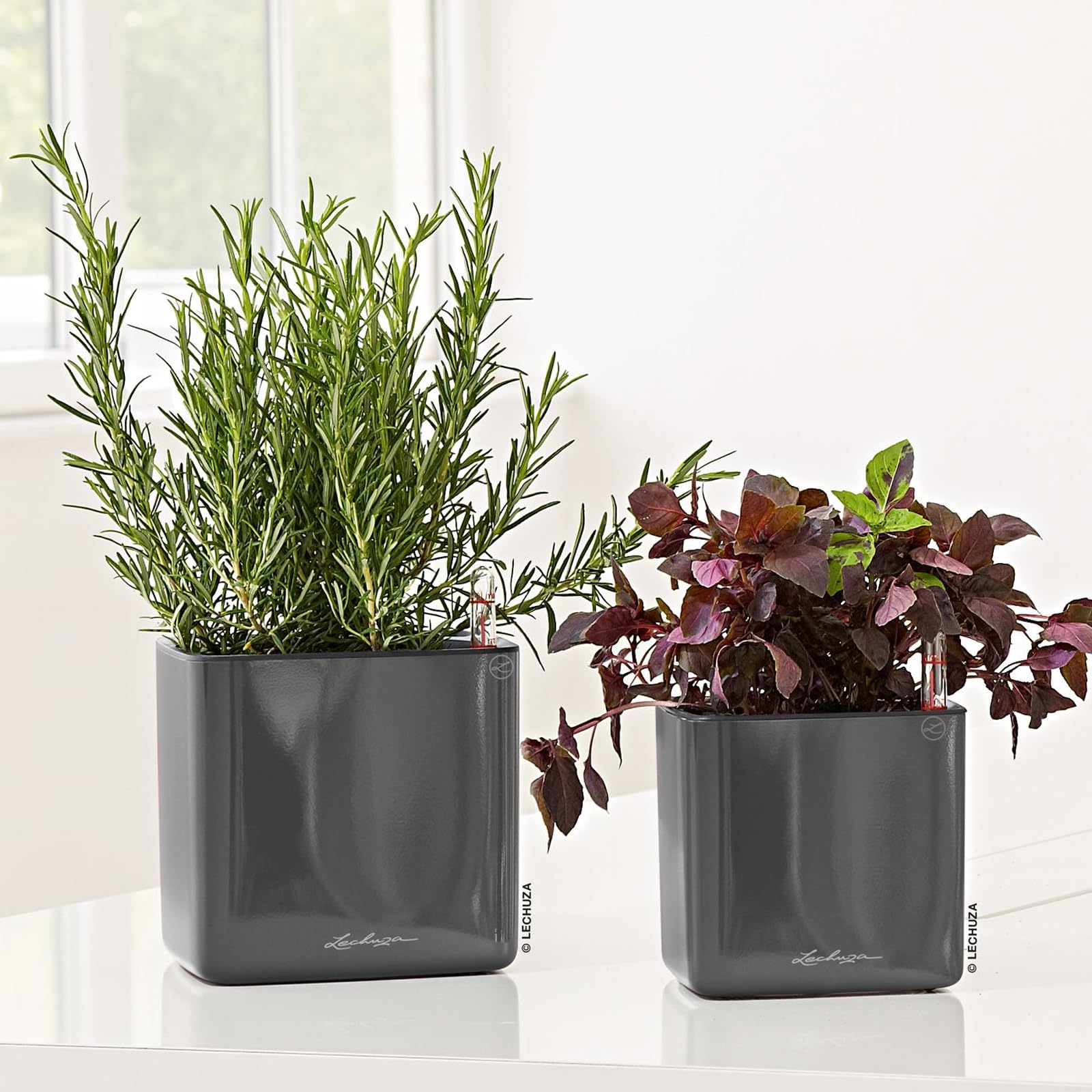 LECHUZA Cube, 16 maceta de riego automático, pequeña, maceta para interiores sin agujeros de drenaje, poliresina, H16 L17 W17 cm, color carbón brillante