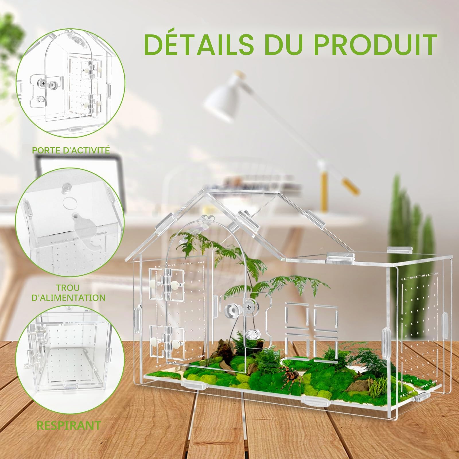 Acryl terrarium pour araignées sauteures, terrarium pour araignées sauteures, terrarium polyvalent pour reptiles pour tarentule, gecko