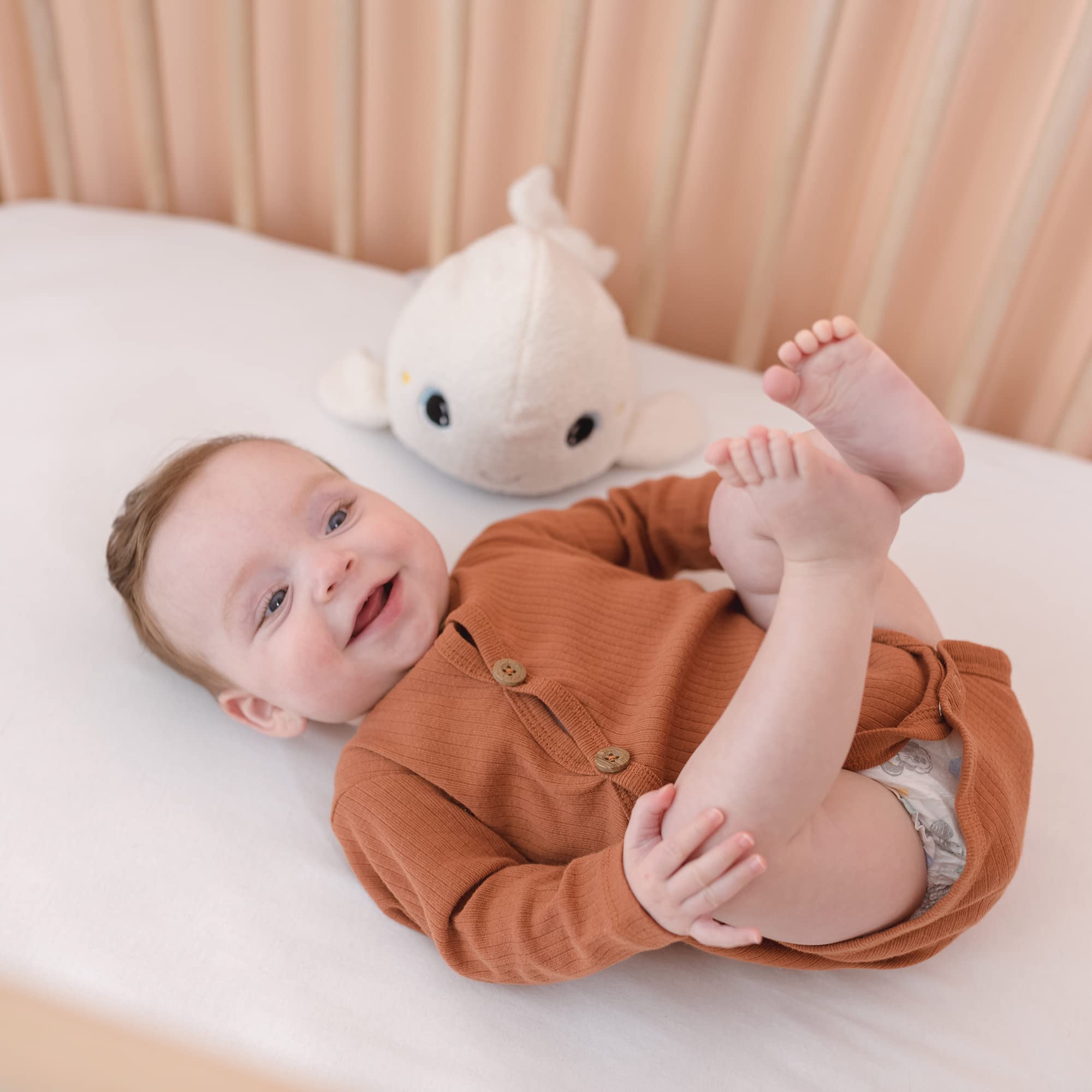 Pabobo Beluga Plusz Śpiąca Lampka nocna Wielokolorowe i kołysanka i białe dźwięki. Super miękki pluszak my-booster: zmywalny (moduł zdejmowany)