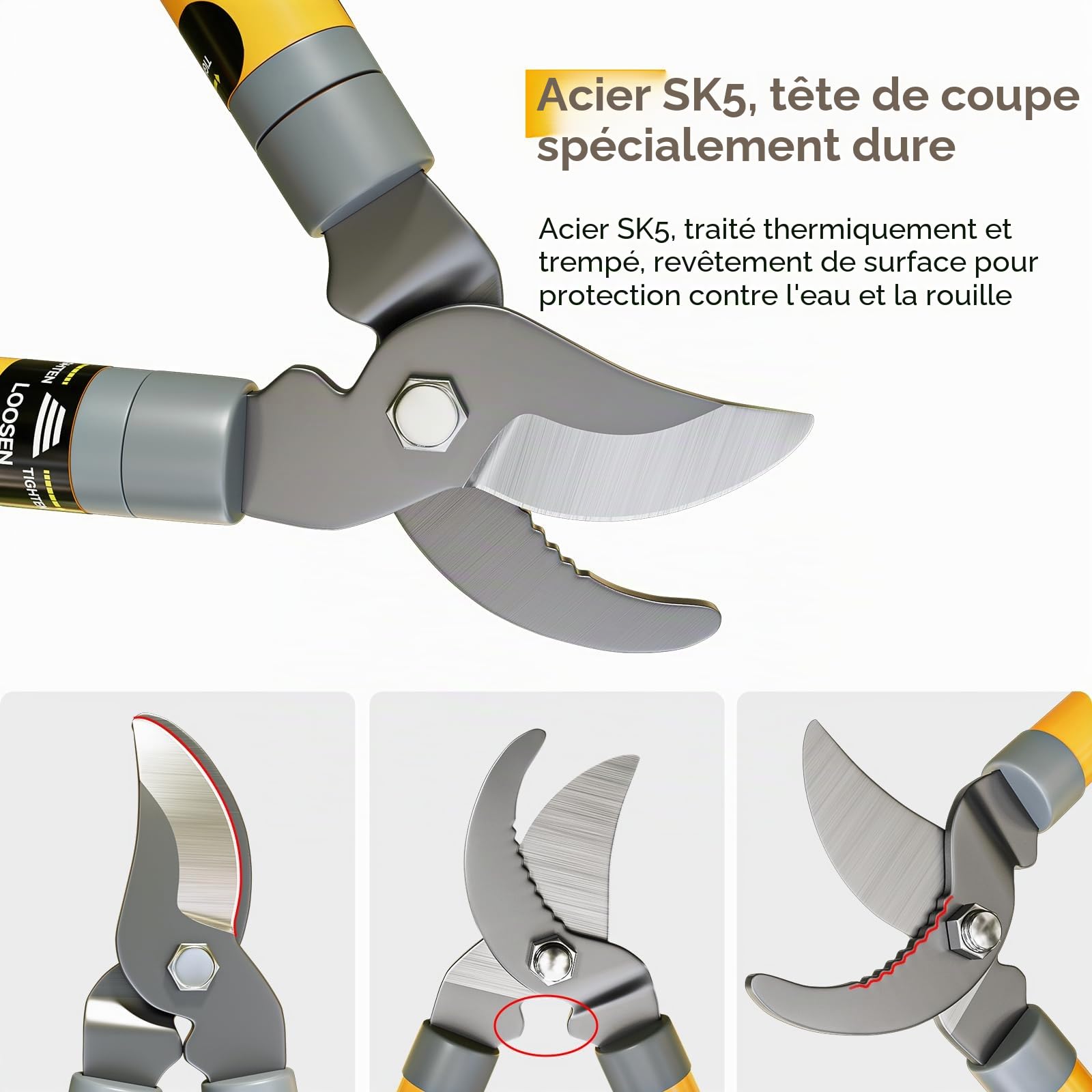 Coupe Branche AIRAJ,Coupe Branche Telescopique 42-61 CM,Lame Tranchante en Acier au Carbone SK5,Coupe Rapide,Coupez Facilement Les Branches (Jusqu'à 35 MM),Convient aux Branches Fraîches et Fanées