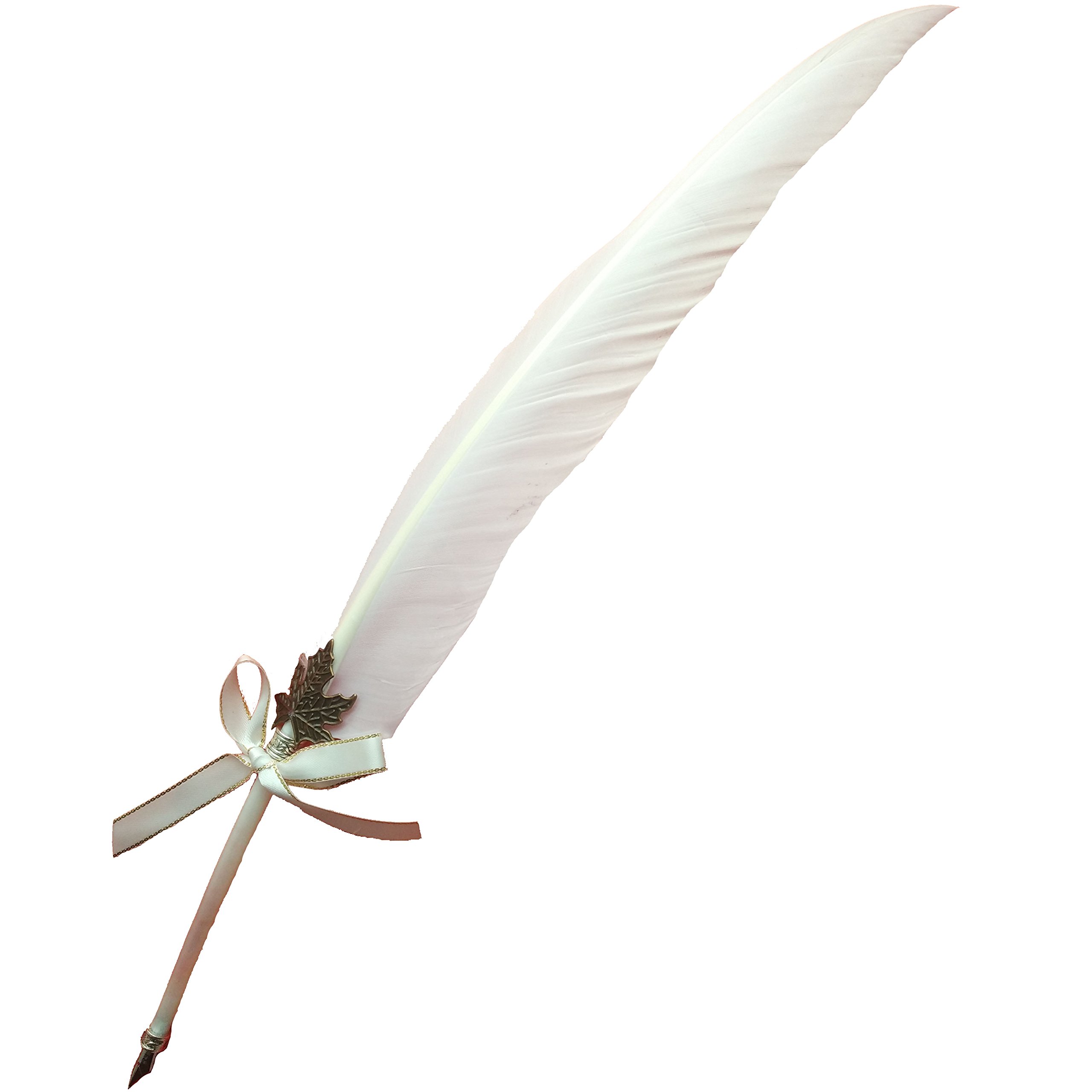 Amazon.co.jp: AWESOME 羽根ペン ヴィンテージ デラックス 天然の白鳥